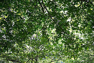 评级信息曝光《荒野大镖客2》或将登陆Switch