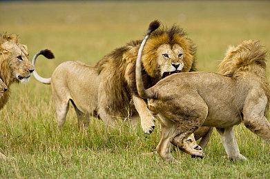 《旁观者：列车长》Steam页面上线 列车长监视任务日常